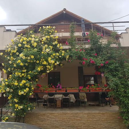 Hotel Casa Delia à Călimăneşti Extérieur photo