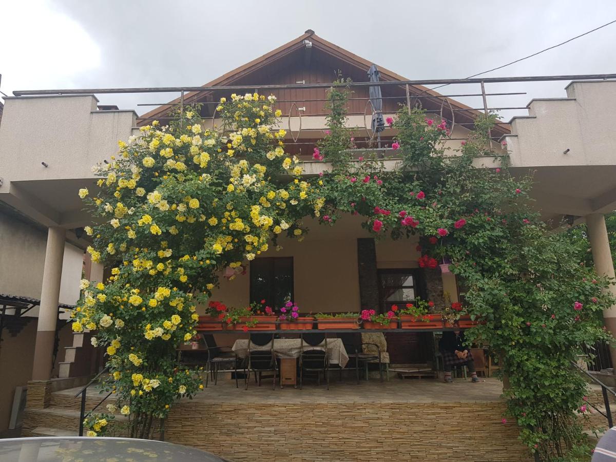 Hotel Casa Delia à Călimăneşti Extérieur photo