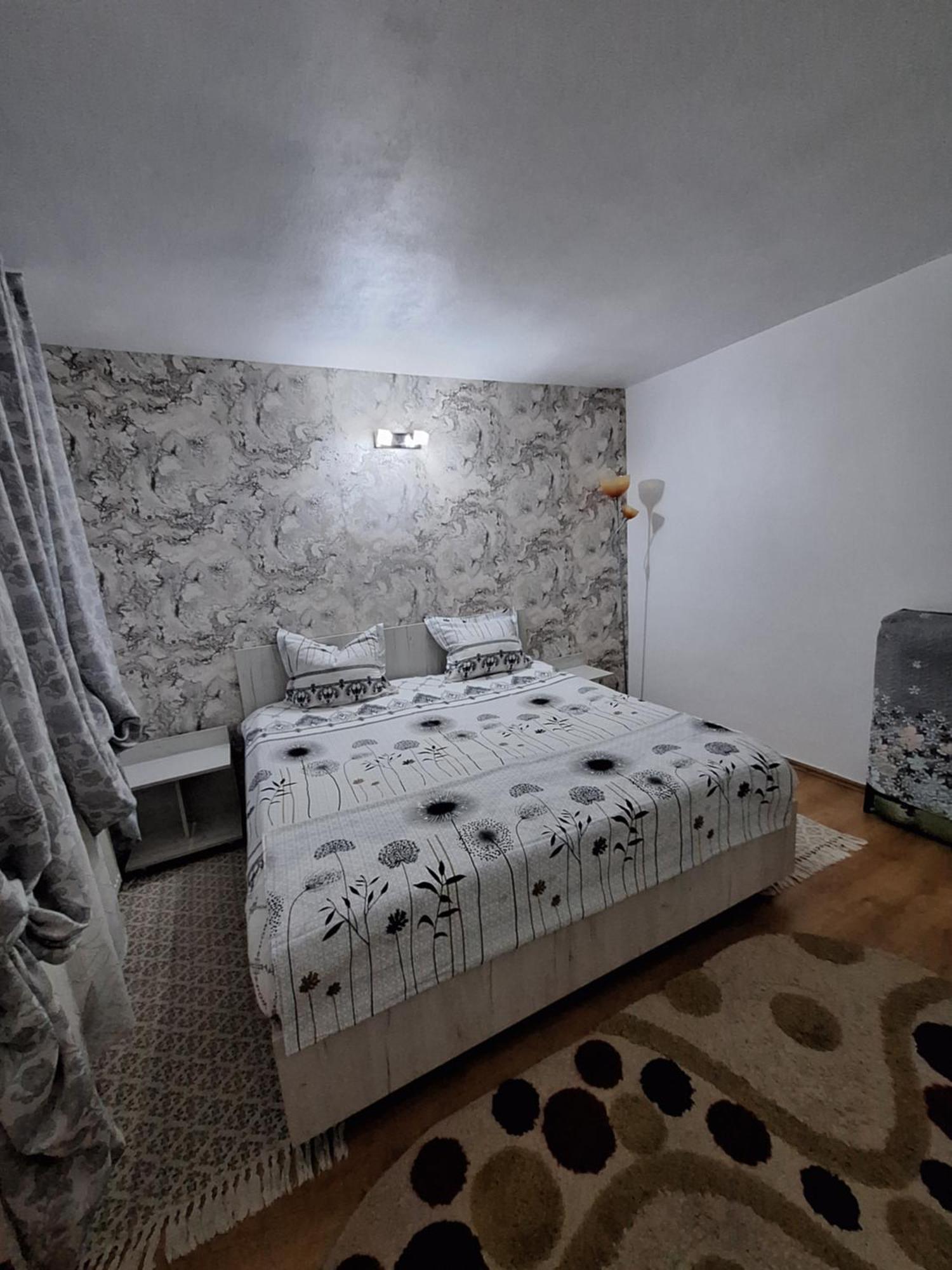 Hotel Casa Delia à Călimăneşti Extérieur photo