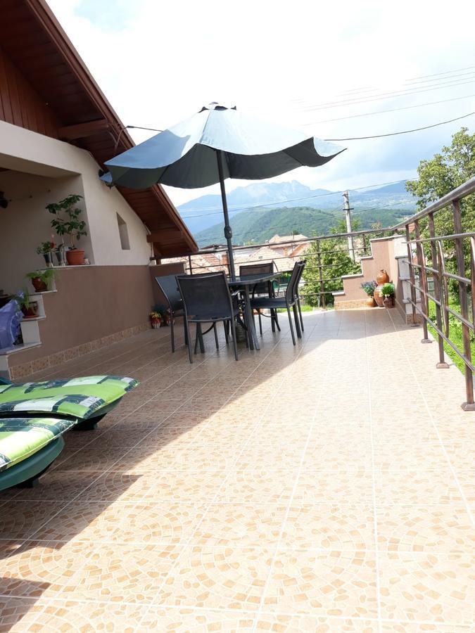 Hotel Casa Delia à Călimăneşti Extérieur photo
