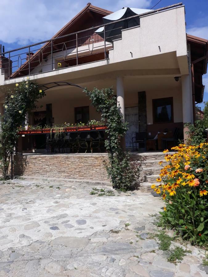 Hotel Casa Delia à Călimăneşti Extérieur photo